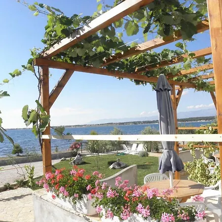 Ivo * Zaton (Zadar)